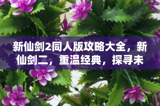 新仙剑2同人版攻略大全，新仙剑二，重温经典，探寻未知之谜