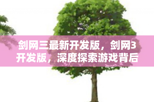 剑网三最新开发版，剑网3开发版，深度探索游戏背后的故事与魅力