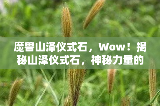 魔兽山泽仪式石，Wow！揭秘山泽仪式石，神秘力量的起源与传承