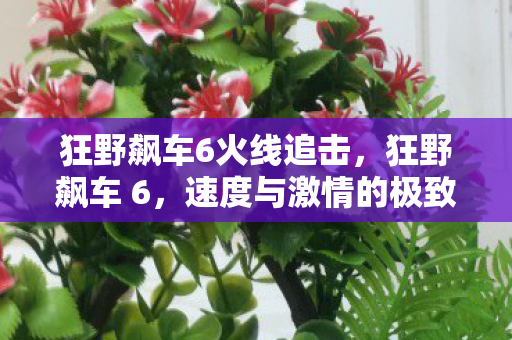 狂野飙车6火线追击，狂野飙车 6，速度与激情的极致体验