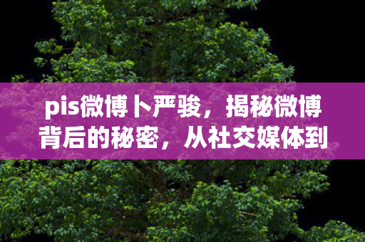 pis微博卜严骏，揭秘微博背后的秘密，从社交媒体到社交网络的力量