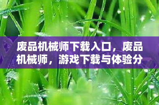 废品机械师下载入口，废品机械师，游戏下载与体验分享