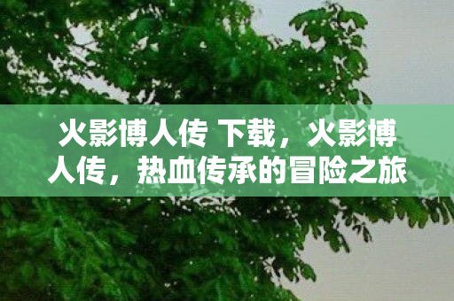 火影博人传 下载，火影博人传，热血传承的冒险之旅