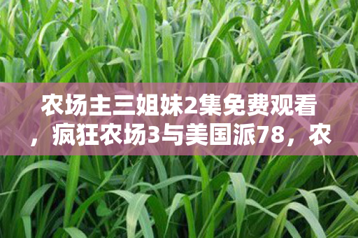 农场主三姐妹2集免费观看，疯狂农场3与美国派78，农业与娱乐的碰撞与融合