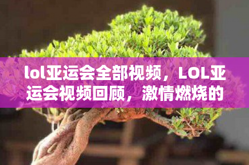 lol亚运会全部视频，LOL亚运会视频回顾，激情燃烧的青春战场
