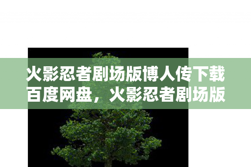 火影忍者剧场版博人传下载百度网盘，火影忍者剧场版博人传下载，深度解析与体验分享