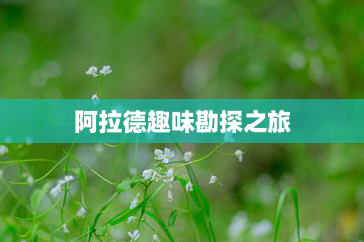 阿拉德趣味勘探之旅