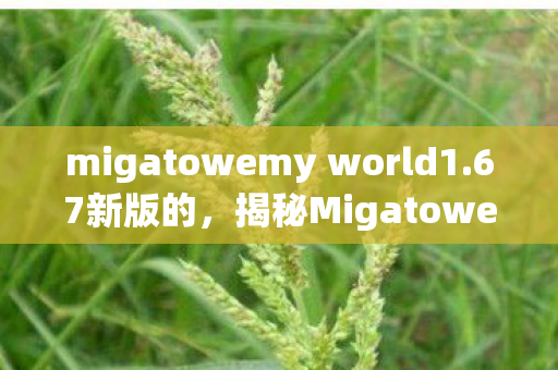 migatowemy world1.67新版的，揭秘Migatowemy World 1.67，探索未知的游戏世界