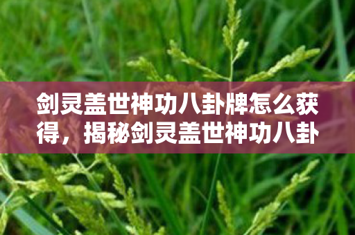 剑灵盖世神功八卦牌怎么获得，揭秘剑灵盖世神功八卦牌，探寻神秘力量的起源与奥秘
