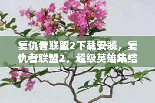 复仇者联盟2下载安装，复仇者联盟2，超级英雄集结的震撼之作