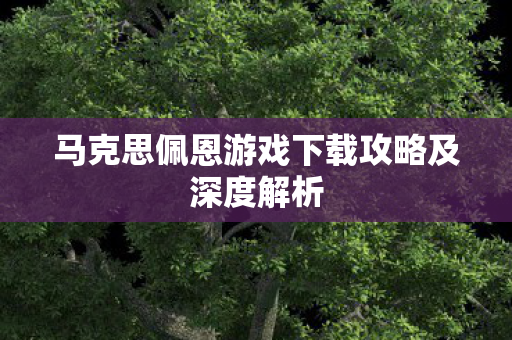 马克思佩恩游戏下载攻略及深度解析