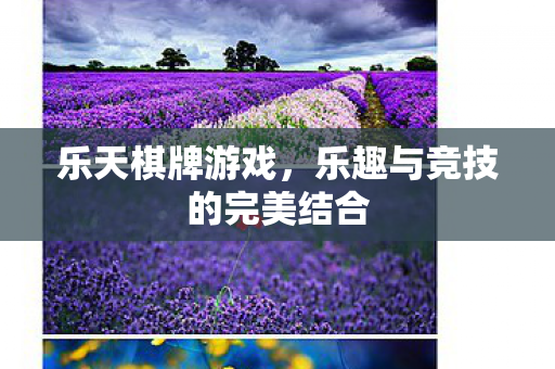 乐天棋牌游戏，乐趣与竞技的完美结合