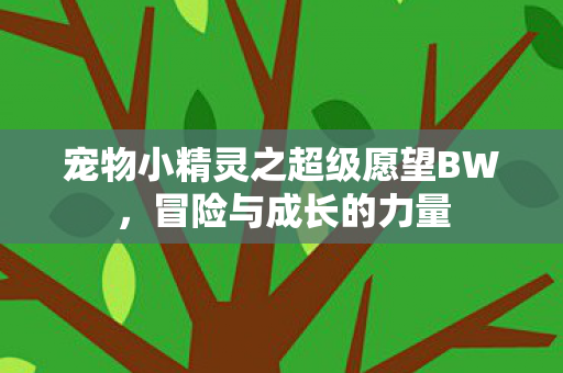 宠物小精灵之超级愿望BW，冒险与成长的力量