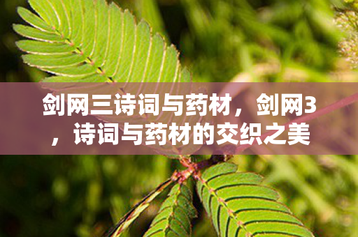 剑网三诗词与药材，剑网3，诗词与药材的交织之美