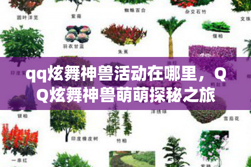 qq炫舞神兽活动在哪里，QQ炫舞神兽萌萌探秘之旅