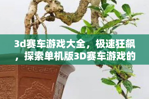 3d赛车游戏大全，极速狂飙，探索单机版3D赛车游戏的魅力