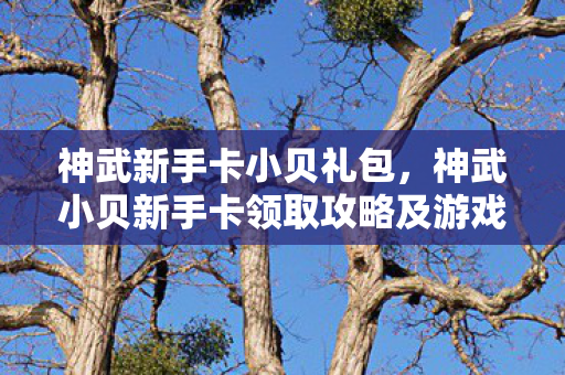 神武新手卡小贝礼包，神武小贝新手卡领取攻略及游戏入门指南
