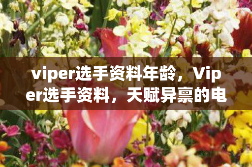 viper选手资料年龄，Viper选手资料，天赋异禀的电竞新星