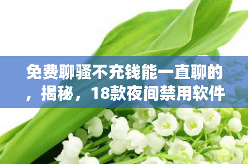 免费聊骚不充钱能一直聊的，揭秘，18款夜间禁用软件app下载入口及深度解析