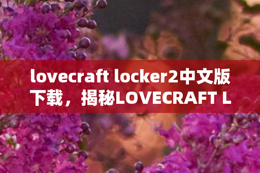 lovecraft locker2中文版下载，揭秘LOVECRAFT LOCKER 2中文版，魔法般的收纳体验与独特魅力