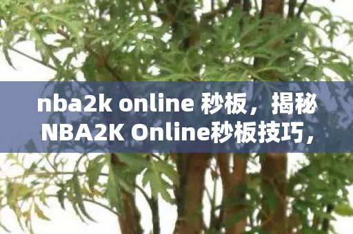 nba2k online 秒板，揭秘NBA2K Online秒板技巧，掌握核心操作，轻松称霸赛场！