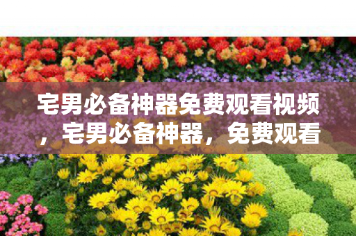 宅男必备神器免费观看视频，宅男必备神器，免费观看娱乐内容的全新体验