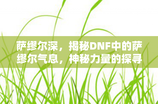 萨缪尔深，揭秘DNF中的萨缪尔气息，神秘力量的探寻之旅