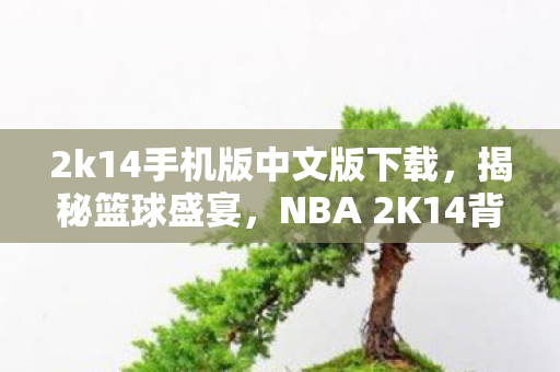 2k14手机版中文版下载，揭秘篮球盛宴，NBA 2K14背后的故事与魅力