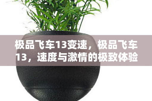 极品飞车13变速，极品飞车13，速度与激情的极致体验