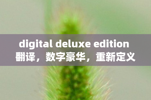 digital deluxe edition 翻译，数字豪华，重新定义奢华体验的时代浪潮