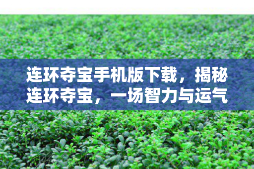 连环夺宝手机版下载，揭秘连环夺宝，一场智力与运气的较量