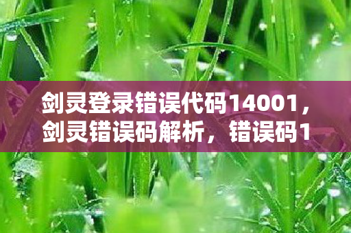 剑灵登录错误代码14001，剑灵错误码解析，错误码14001详解及解决方案