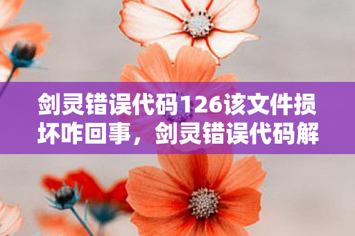 剑灵错误代码126该文件损坏咋回事，剑灵错误代码解析，错误14001深度解析与解决方案