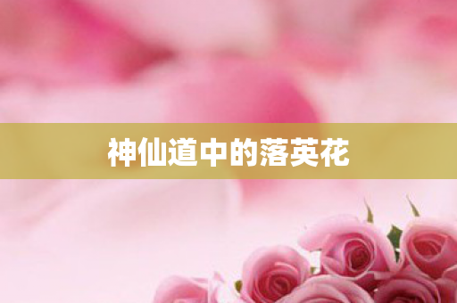 神仙道中的落英花
