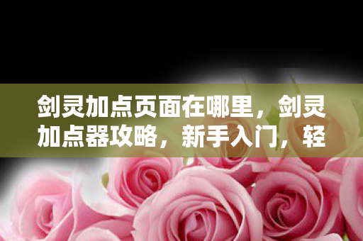 剑灵加点页面在哪里，剑灵加点器攻略，新手入门，轻松掌握加点技巧