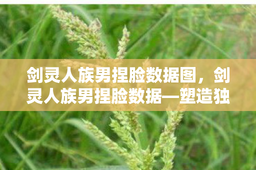 剑灵人族男捏脸数据图，剑灵人族男捏脸数据—塑造独特魅力的个性化角色