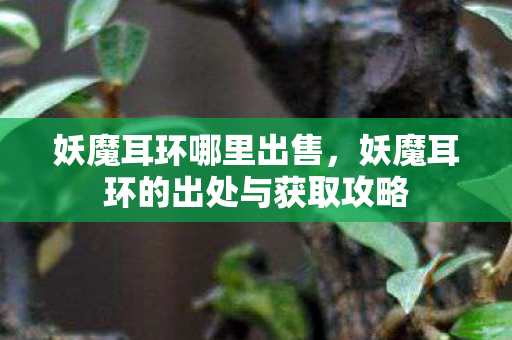 妖魔耳环哪里出售，妖魔耳环的出处与获取攻略