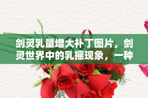 剑灵乳量增大补丁图片，剑灵世界中的乳摇现象，一种游戏文化的新解读