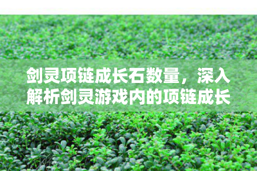 剑灵项链成长石数量，深入解析剑灵游戏内的项链成长树