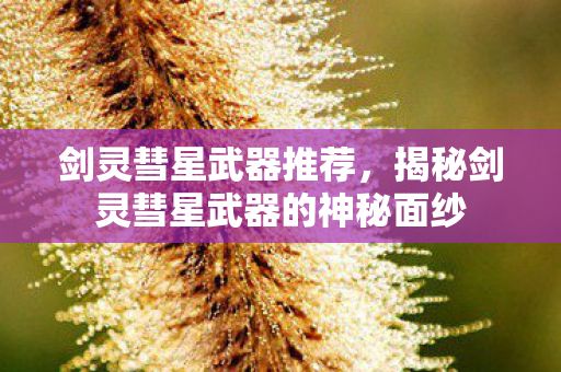 剑灵彗星武器推荐，揭秘剑灵彗星武器的神秘面纱