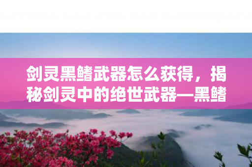 剑灵黑鳍武器怎么获得，揭秘剑灵中的绝世武器—黑鳍武器