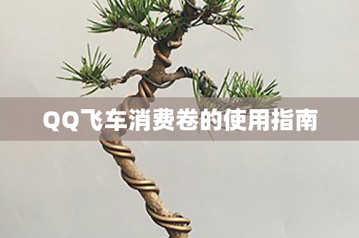 QQ飞车消费卷的使用指南