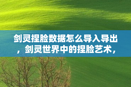 剑灵捏脸数据怎么导入导出，剑灵世界中的捏脸艺术，深度解析捏脸数据