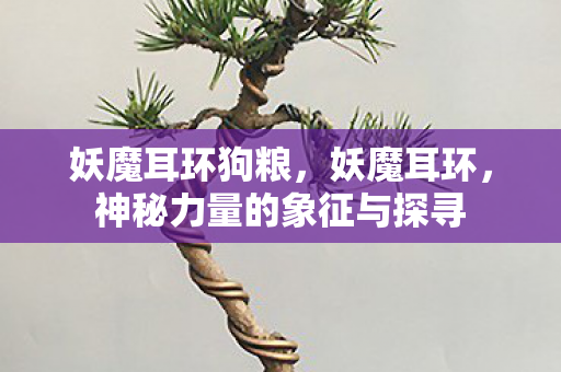 妖魔耳环狗粮，妖魔耳环，神秘力量的象征与探寻