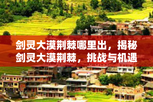 剑灵大漠荆棘哪里出，揭秘剑灵大漠荆棘，挑战与机遇并存的游戏世界