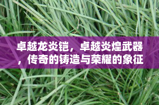 卓越龙炎铠，卓越炎煌武器，传奇的铸造与荣耀的象征