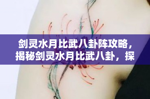剑灵水月比武八卦阵攻略，揭秘剑灵水月比武八卦，探寻武林巅峰之战