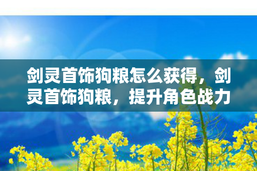 剑灵首饰狗粮怎么获得，剑灵首饰狗粮，提升角色战力不可或缺的重要元素