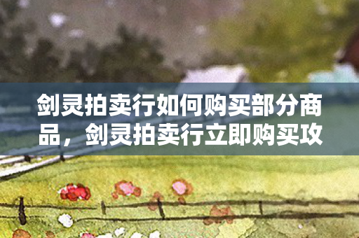 剑灵拍卖行如何购买部分商品，剑灵拍卖行立即购买攻略，玩转拍卖行，轻松获取心仪物品