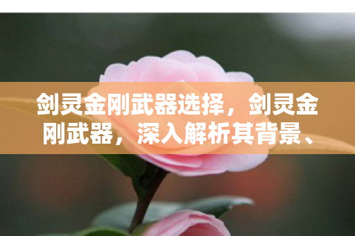剑灵金刚武器选择，剑灵金刚武器，深入解析其背景、特点与获取方式
